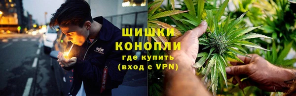 PSILOCYBIN Ростов