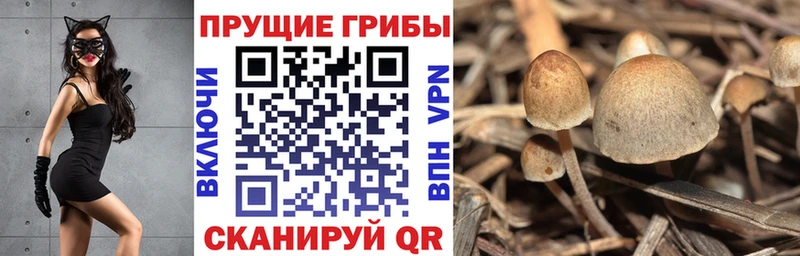 Галлюциногенные грибы мухоморы  Кириллов 